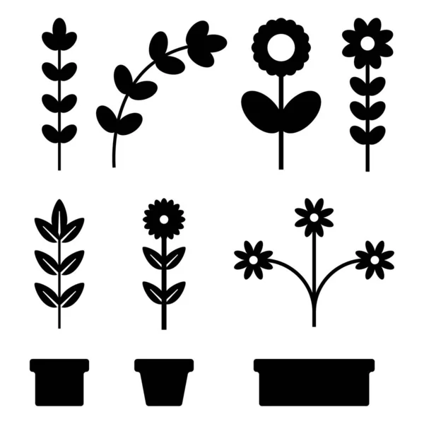 Plant Bladeren Set Botanische Handgetekende Vectortekeningen Vintage Geïsoleerde Elementen — Stockvector