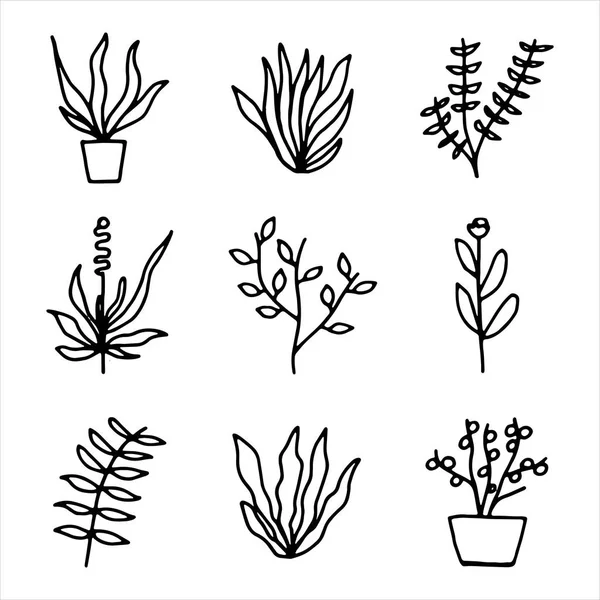 Pflanzen Und Blumen Icon Set Isolierte Objekte — Stockvektor