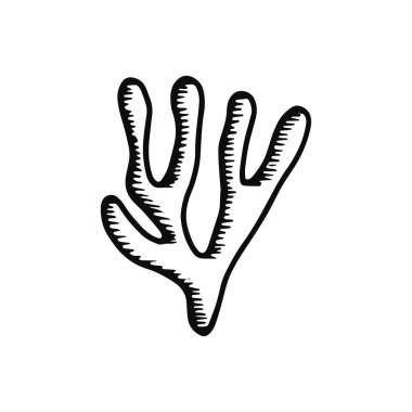 deniz yosunu simgesi. kroki yalıtılmış nesne siyah.