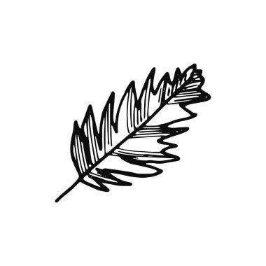 kuş tüyü simgesi. kroki yalıtılmış nesne siyah.