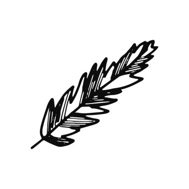 kuş tüyü simgesi. kroki yalıtılmış nesne siyah.