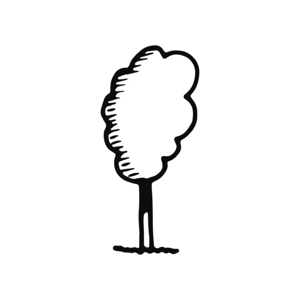 Träd Ikonen Isolerade Objekt Skiss Svart Vit Bakgrund — Stock vektor