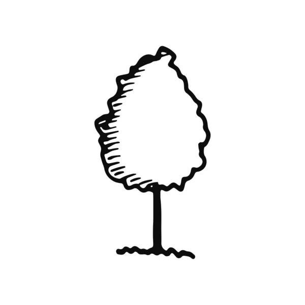 Ikonę Drzewa Białym Tle Obiekt Szkic Czarno Białym Tle — Wektor stockowy