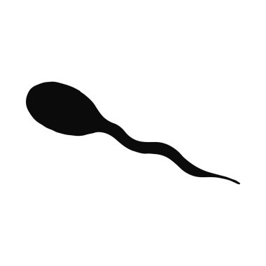 sperm hücresi siluet vektör. yalıtılmış nesne.