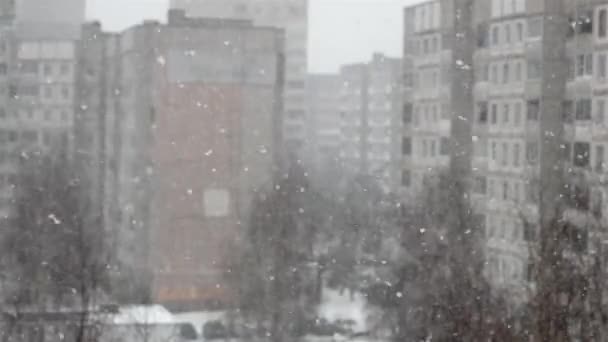 Blizzard Hivernal Intense Dans Les Logements Résidentiels Quartier — Video