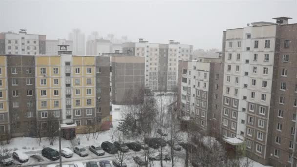 Blizzard Hivernal Intense Dans Les Logements Résidentiels Quartier — Video
