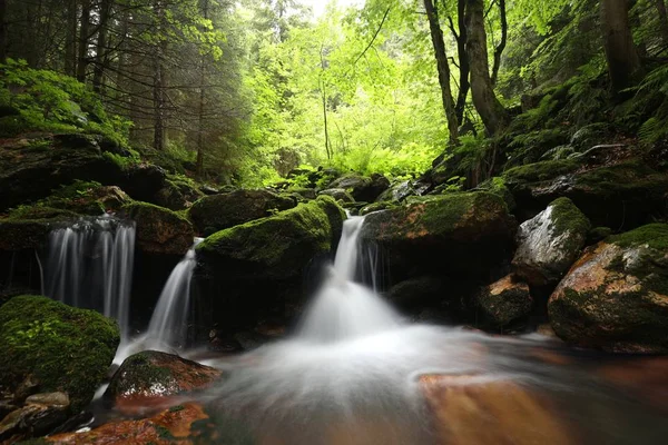 Arroyo Forestal Que Desciende Las Montañas — Foto de Stock