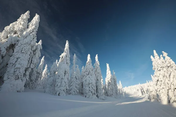 Trilha Que Leva Topo Montanha Cenário Inverno — Fotografia de Stock