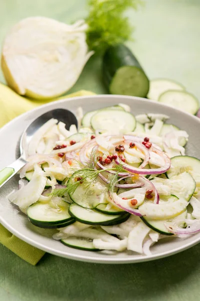 Fennel Salad Cucumbers Onions Pink Pepper — Stock Photo, Image