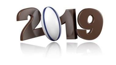 Rugby topu 2019 tasarım beyaz arka plan üzerinde sonsuz dönüşümlü olarak