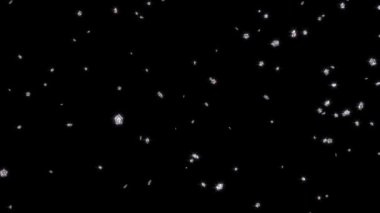 Yağmur tombul gümüş beş şubelere yıldız Alpha kanalı ile