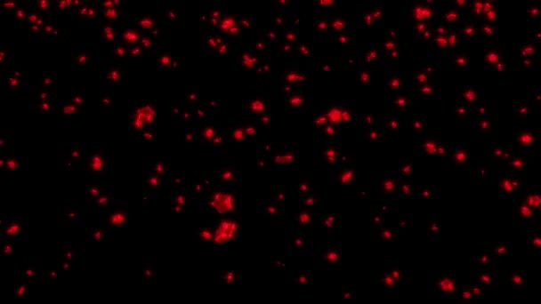 Großer Regen Von Pummeligen Roten Fünf Zweige Sternen Mit Alpha — Stockvideo