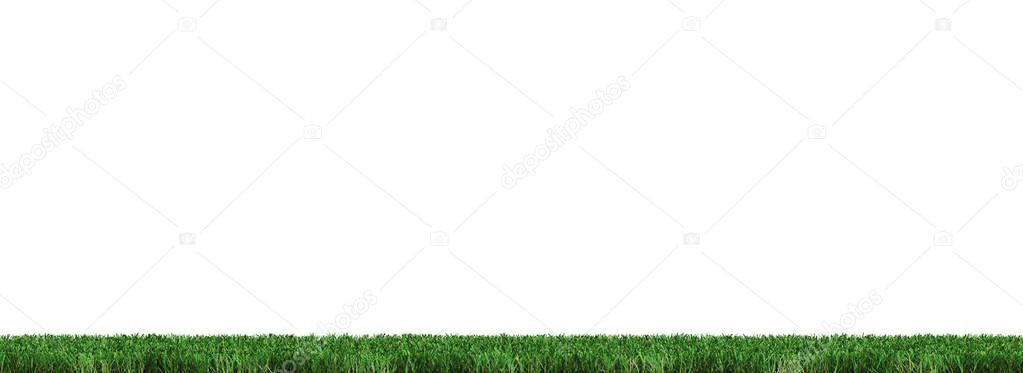 Strip of Very Well cut Green Grass with a white background