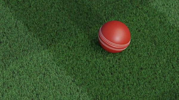 Vista Una Pelota Cricket Puesta Césped Muy Bien Cortado — Foto de Stock