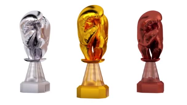 Front View Boxing Gold Silver Bronze Trophies Infinite Rotation White — Stock Video