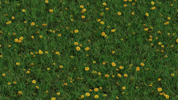 View Field Wild Grass Lots Yellow Head Dandelions — Stock Photo, Image