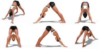 Yogalı Kadın Aşağı Bakış Köpek Pozisyonları 6 açılı 