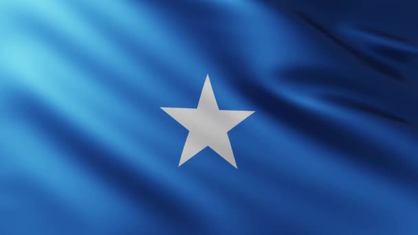 Stor Flagga Somalia Fullscreen Bakgrund Fladdrar Vinden Med Våg Mönster — Stockvideo