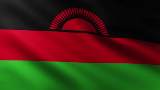 Stor Flagga Malawi Fullskärmsbakgrund Fladdrar Vinden Med Vågmönster — Stockvideo