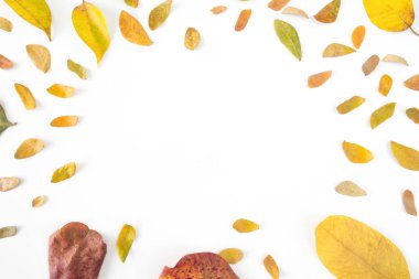 Sonbahar kompozisyon. Sonbahar sezonunun alanı Kopyala.