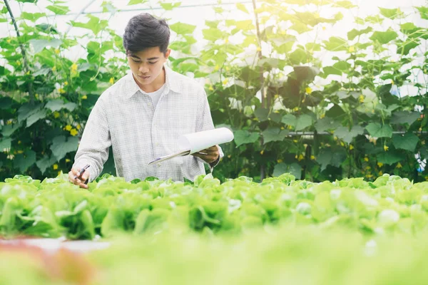 Smart farming using modern technologies in agriculture. Young  agronomist farmer writing quality of organic vegetables report. Technology and agriculture concept.