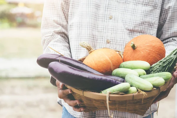 Granjero Sosteniendo Verduras Frescas Forman Jardín Alimentación Hortalizas Agricultura —  Fotos de Stock