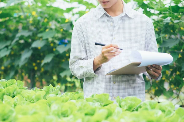 Smart Farming Using Modern Technologies Agriculture Young Agronomist Farmer Writing — Stock Photo, Image