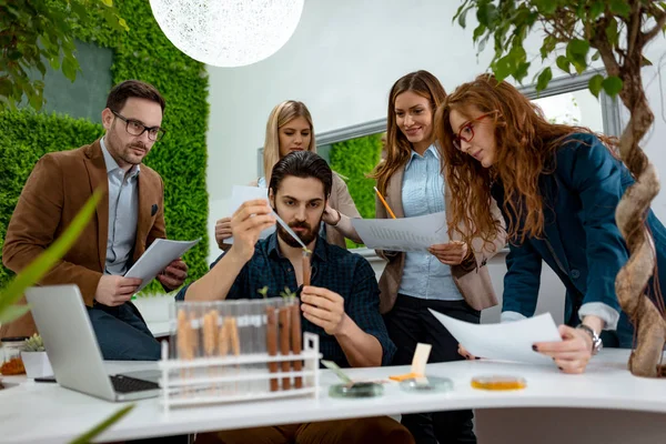 Colegas Biólogos Que Realizan Experimentos Con Brotes Verifican Análisis Muestra — Foto de Stock