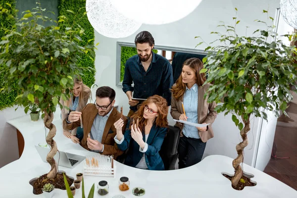 Brüksel lahanası ve örnek bitki Analizi denetimini alarak biyolog meslektaşları deneme