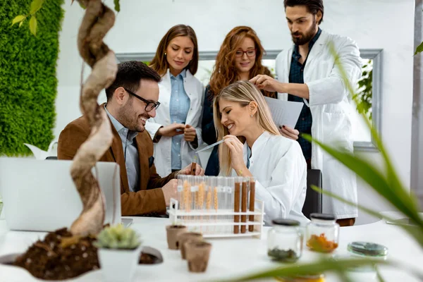 Biologen Kollegen Machen Experimente Mit Sprossen Und Überprüfen Analyse Von — Stockfoto