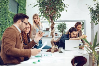 Brüksel lahanası ve örnek bitki Analizi denetimini alarak biyolog meslektaşları deneme