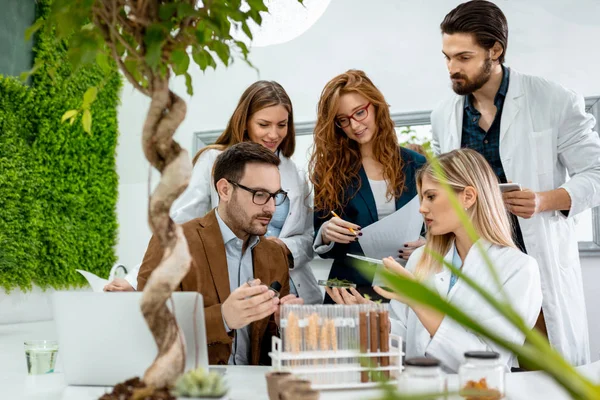 Colegas Biólogos Que Realizan Experimentos Con Brotes Verifican Análisis Muestra — Foto de Stock