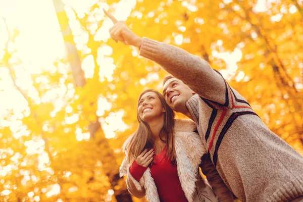 Sonriente Joven Pareja Disfrutando Soleado Bosque Otoñal — Foto de Stock