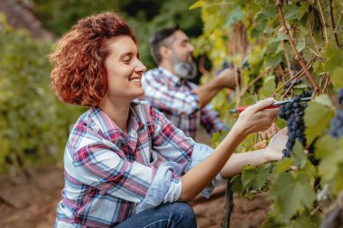 Olgun çift eğlenceli ve kesme üzüm mahzeninde sahip