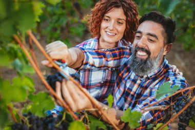 Olgun çift eğlenceli ve kesme üzüm mahzeninde sahip