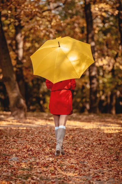 Giovane Donna Piedi Nel Soleggiato Parco Autunnale — Foto Stock