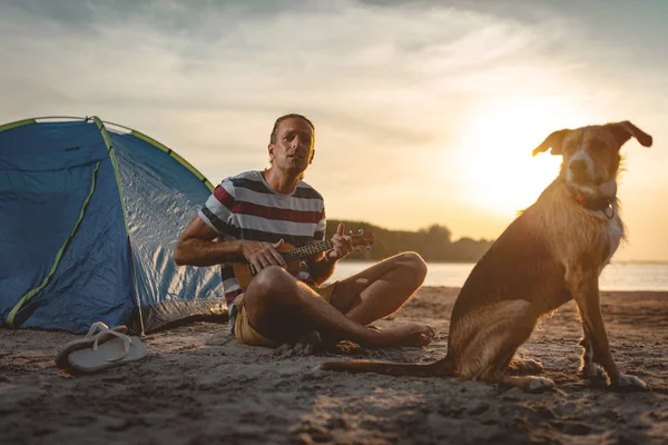 Музикант Сидить Річці Собакою Грає Укулеле Заході Сонця — стокове фото