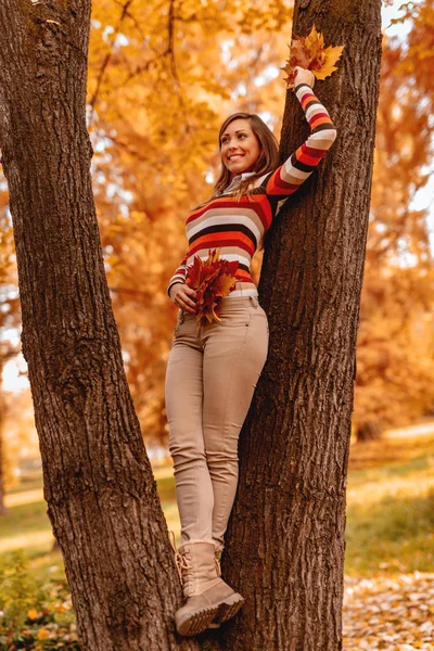 Usměvavá Mladá Žena Držící Zlaté Listí Stojící Poblíž Kmen Stromu — Stock fotografie