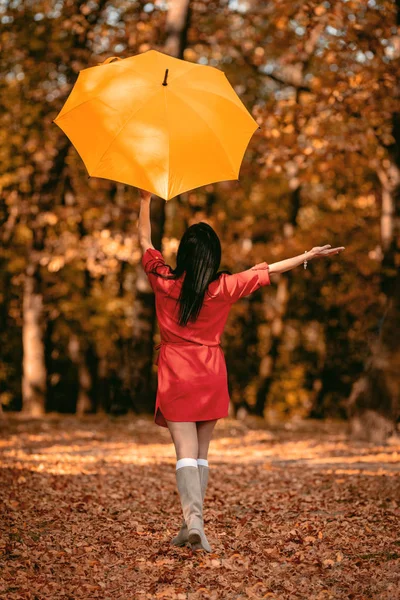 Молода Жінка Жовтою Парасолькою Йде Сонячному Осінньому Парку — стокове фото