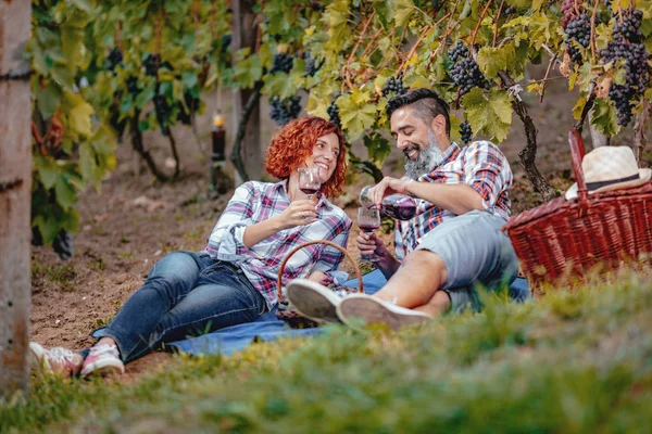 Pareja Madura Divirtiéndose Degustando Vino Viñedo —  Fotos de Stock