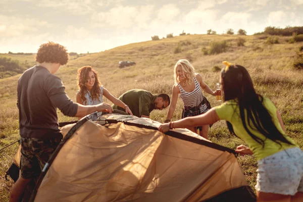 Young Happy Friends Preparing Camping Installing Tent Suitable Place Meadow — Stock Photo, Image