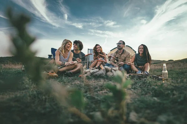 Jeunes Amis Heureux Profitent Une Journée Ensoleillée Montagne Ils Rigolent — Photo