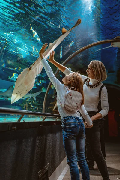 Feliz Madre Hija Pie Estiradas Contra Vidrio Del Acuario Fascinado —  Fotos de Stock