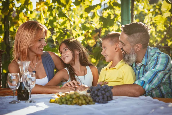 年轻的微笑家庭在葡萄园野餐 — 图库照片