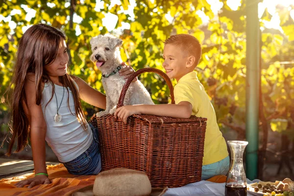 Lächelndes Geschwisterpaar Mit Hund Beim Picknick Weinberg — Stockfoto