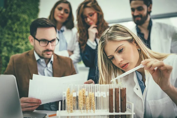 Gruppe Von Biologen Kollegen Führt Experimente Mit Sprossen Durch Und — Stockfoto