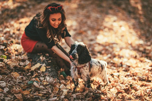 Jovem Mulher Elegante Brincando Com Cão Floresta Outono Pôr Sol — Fotografia de Stock