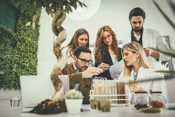 Colleghi Biologi Che Prendono Esperimento Germogli Controllano Analisi Campione Impianti — Foto Stock