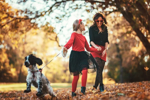 Молодая Мать Счастливая Дочь Гуляют Собакой Осеннем Лесу Закате — стоковое фото