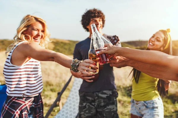 Happy Young Friends Clinking Beer Bottles Laughing Talking Picnic — Stock Photo, Image